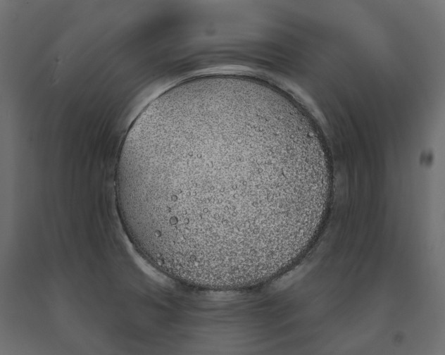 X0000091561425200708241806