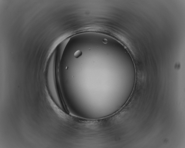 X0000091561426200708241806