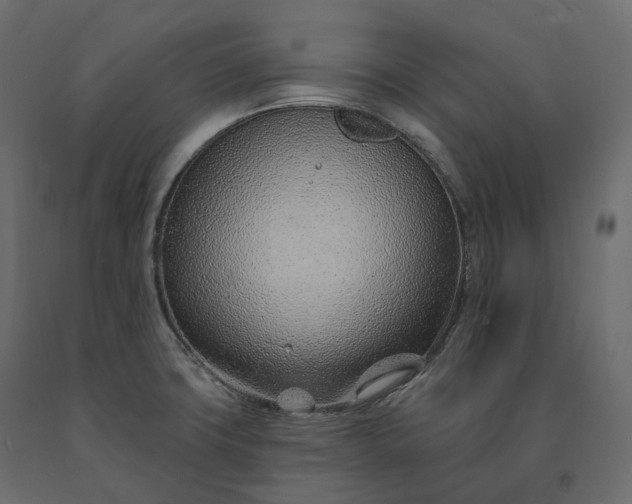 X0000091561427200708241806