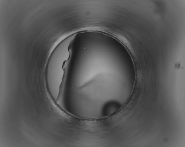 X0000091561428200708241806