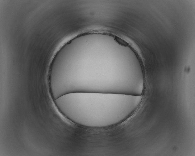 X0000091561429200708241806