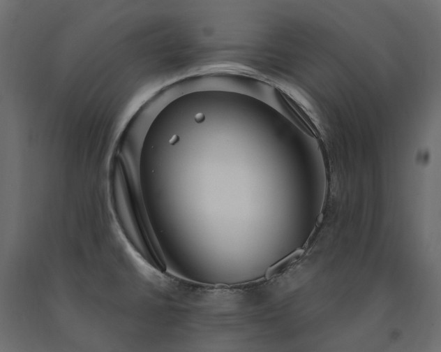 X0000091561430200708241806