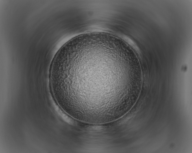 X0000091561431200708241806