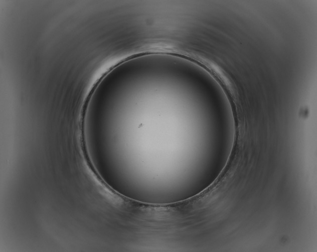 X0000091561432200708241806