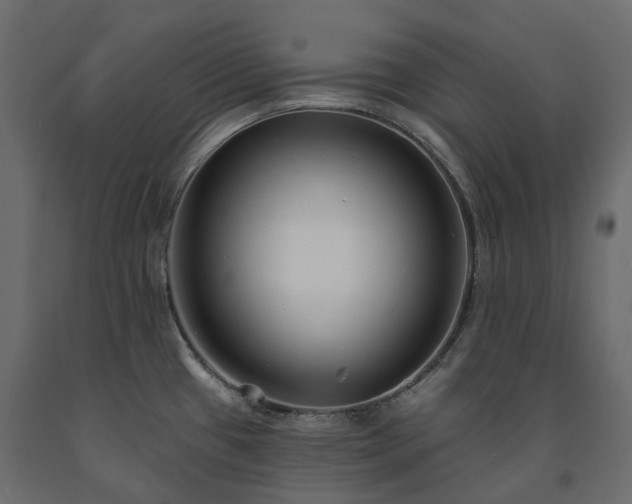 X0000091561433200708241806