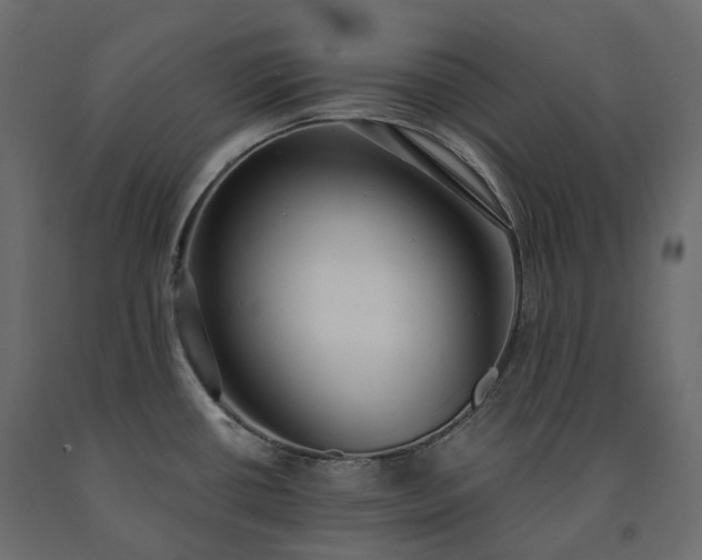 X0000091561434200708241806