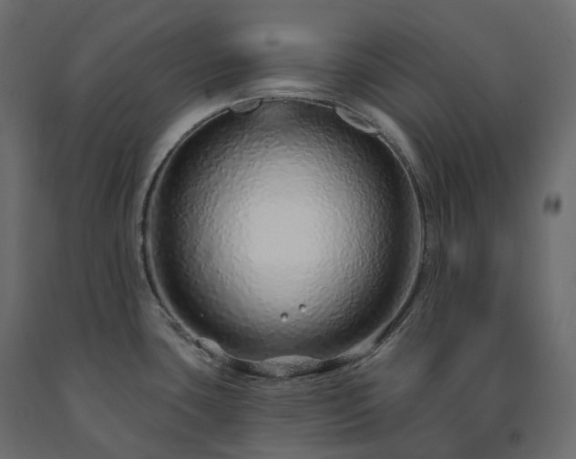 X0000091561435200708241806