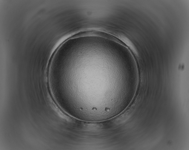 X0000091561436200708241806