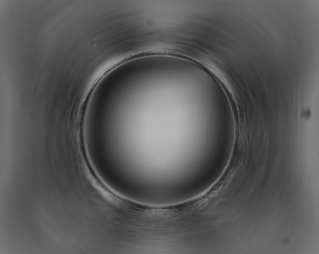 X0000091561437200708241806