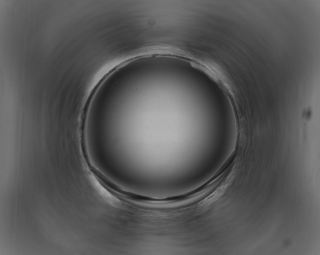 X0000091561438200708241806