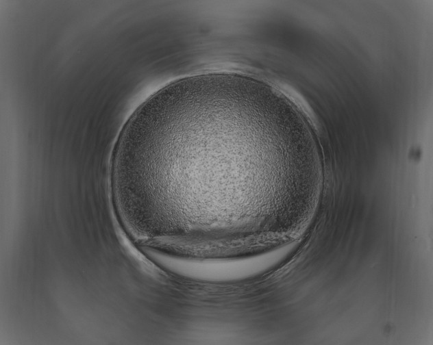 X0000091561439200708241806