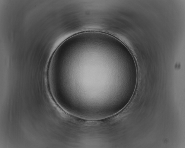 X0000091561440200708241807