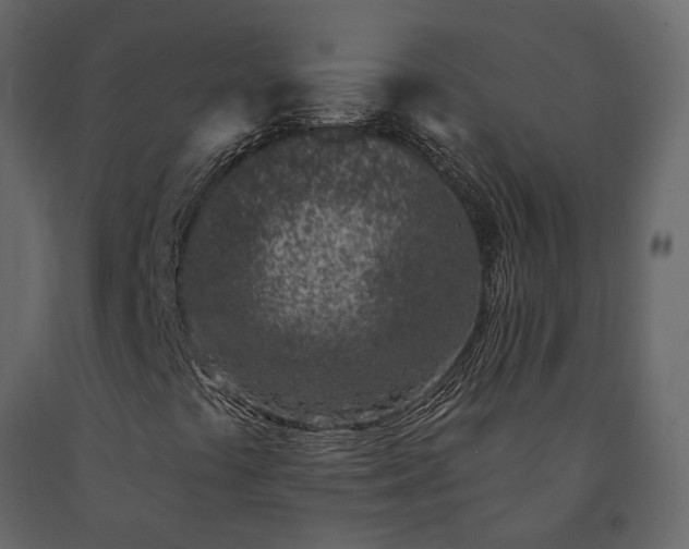 X0000091561441200708241806