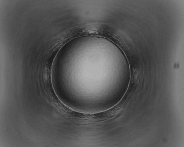 X0000091561442200708241806