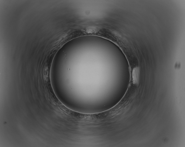 X0000091561443200708241806