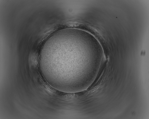 X0000091561444200708241806