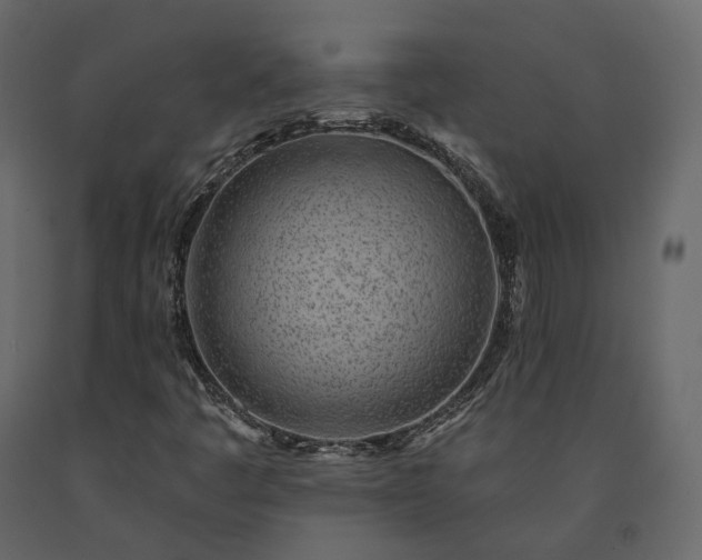 X0000091561445200708241806