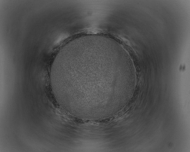 X0000091561446200708241806