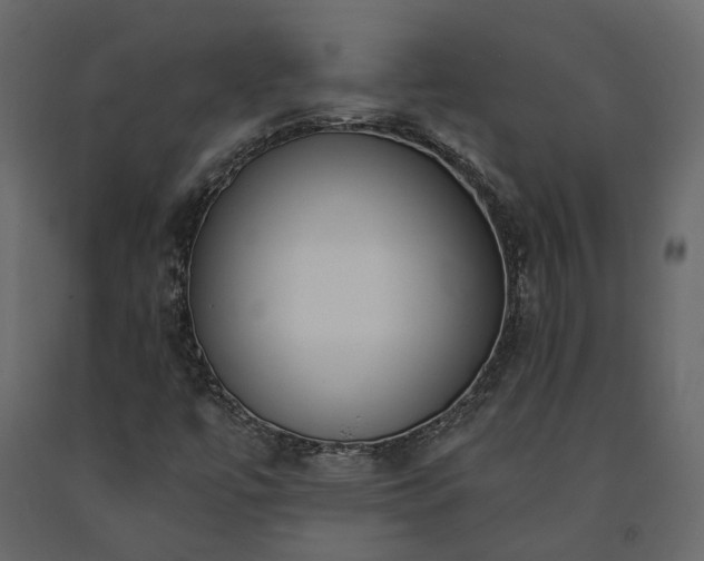 X0000091561447200708241806