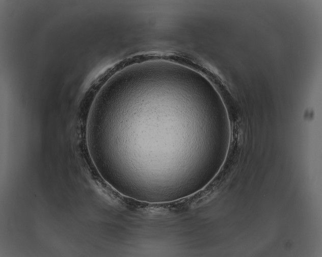 X0000091561448200708241806