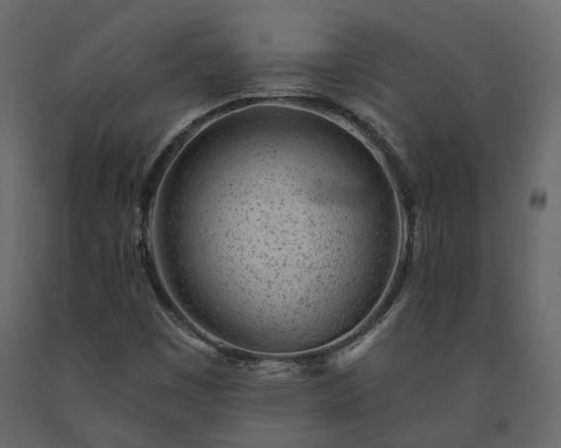 X0000091561449200708241806