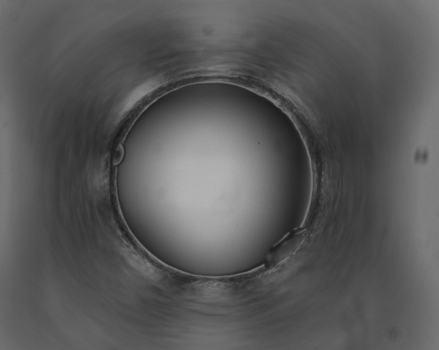 X0000091561450200708241806