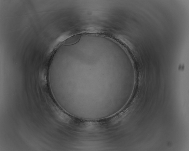 X0000091561451200708241806