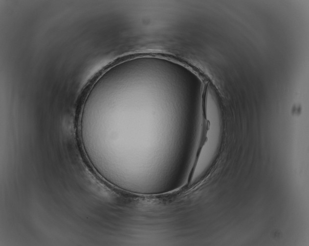 X0000091561452200708241806