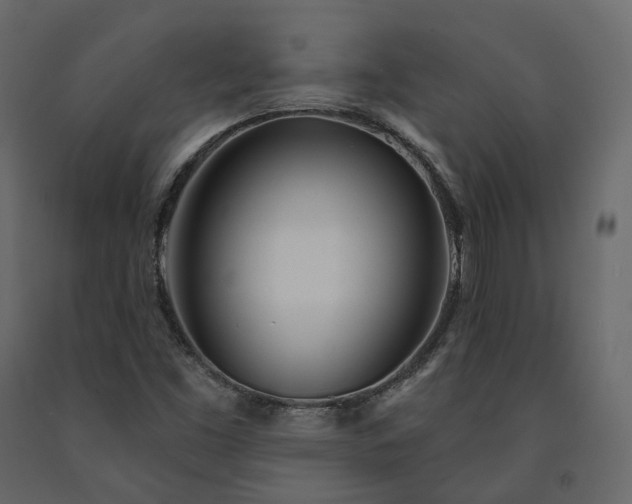 X0000091561453200708241806