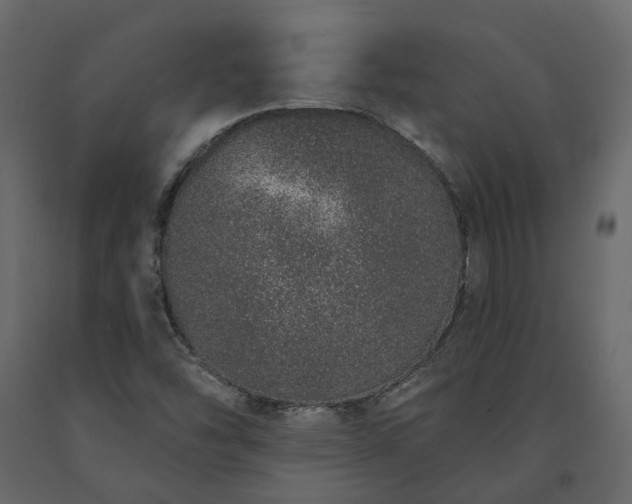 X0000091561454200708241806