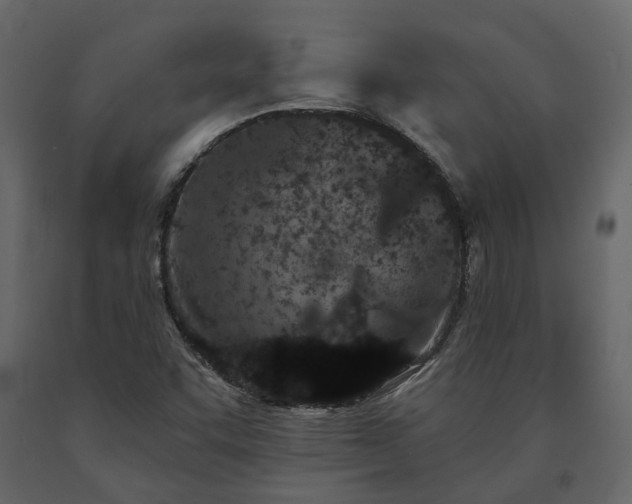 X0000091561455200708241806