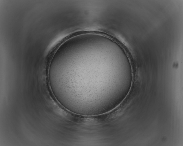 X0000091561456200708241806