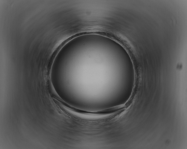 X0000091561457200708241806