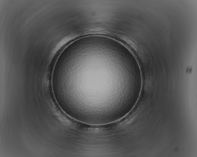 X0000091561458200708241806