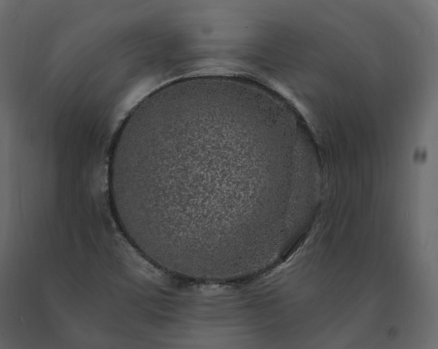 X0000091561459200708241806