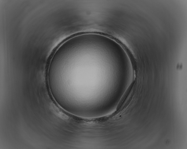 X0000091561460200708241806