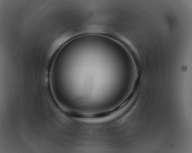 X0000091561461200708241806