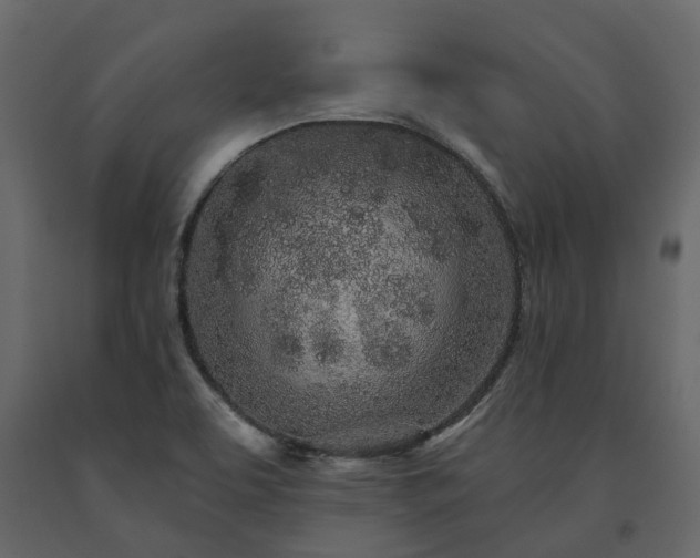 X0000091561463200708241806