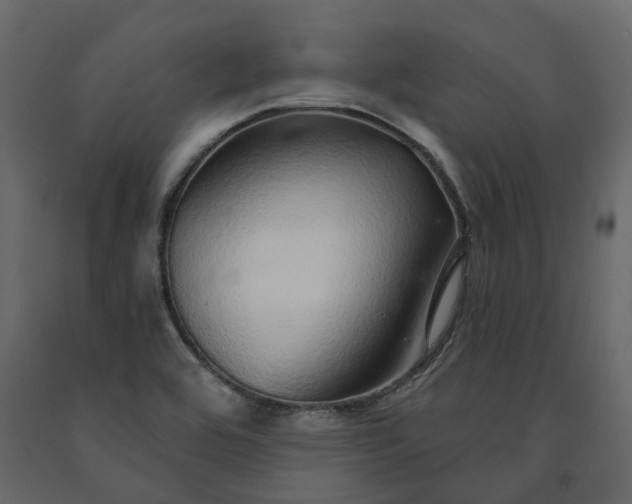 X0000091561464200708241806