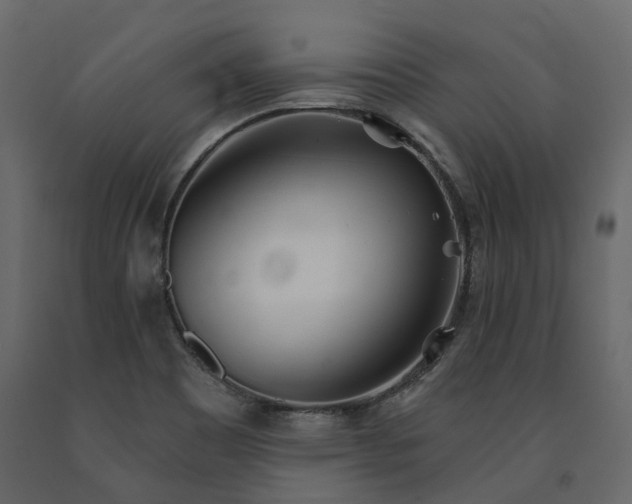 X0000091561465200708241806