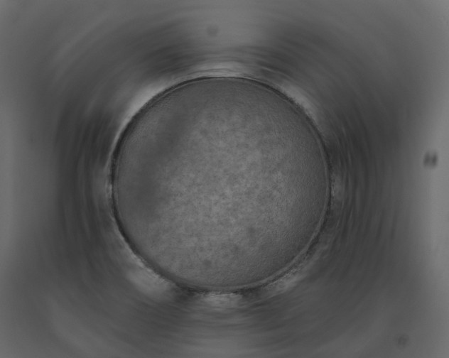 X0000091561466200708241806