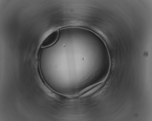 X0000091561467200708241806