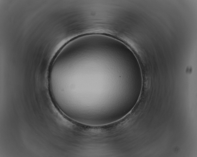 X0000091561468200708241806