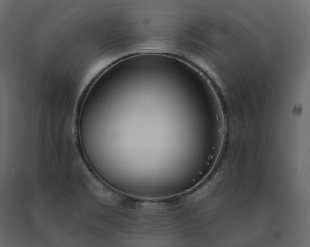 X0000091561469200708241806