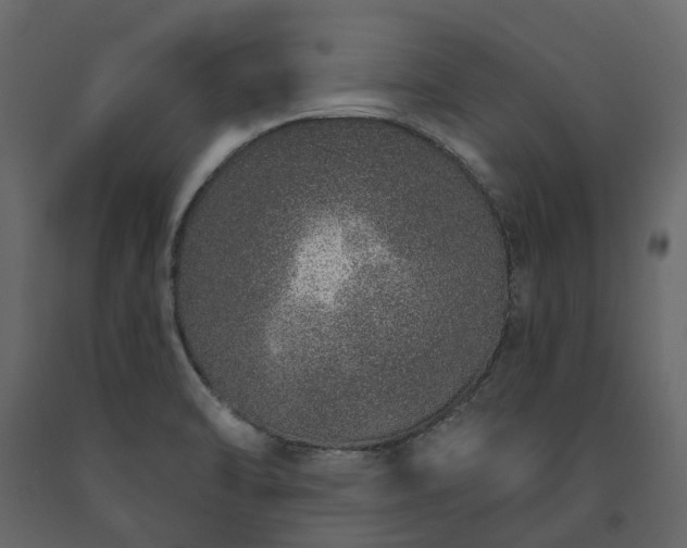 X0000091561470200708241806