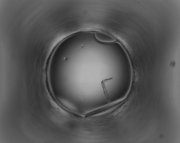 X0000091561471200708241806