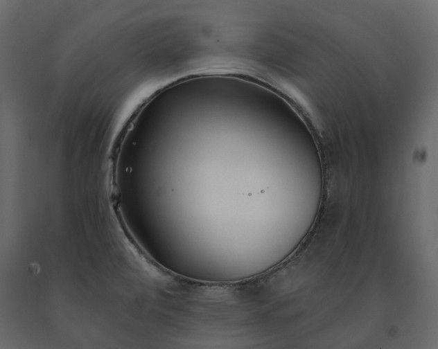 X0000091561472200708241806