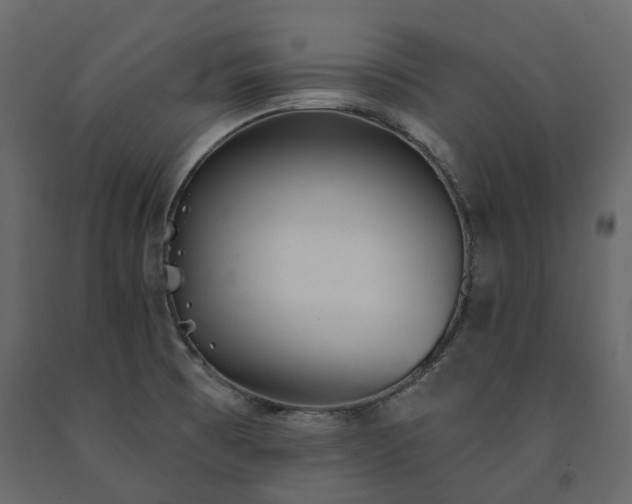 X0000091561473200708241806