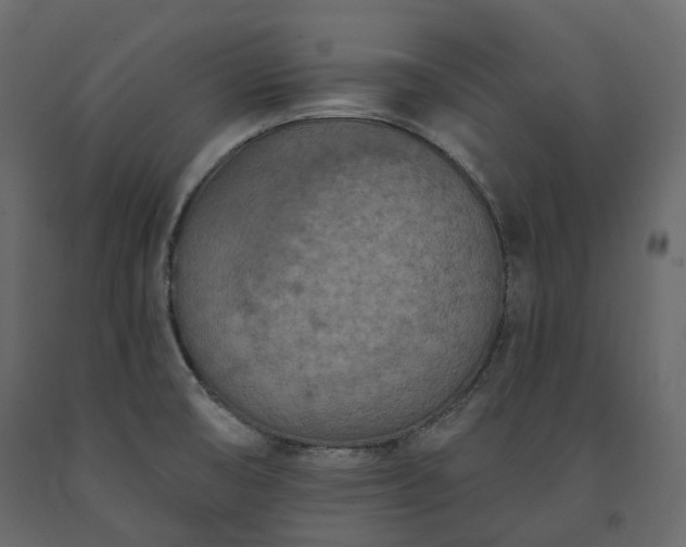 X0000091561474200708241805