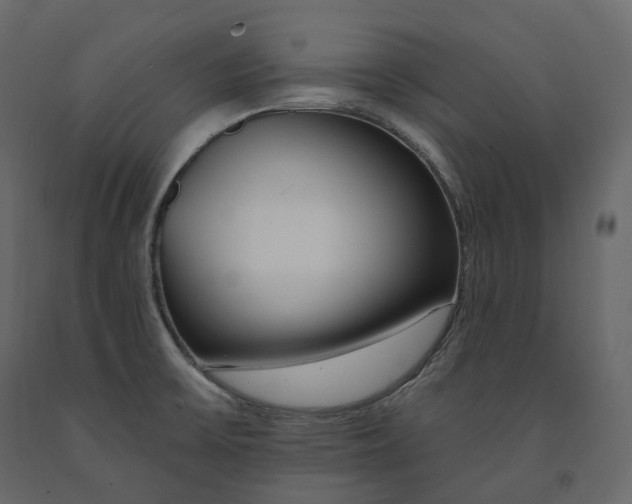 X0000091561475200708241805